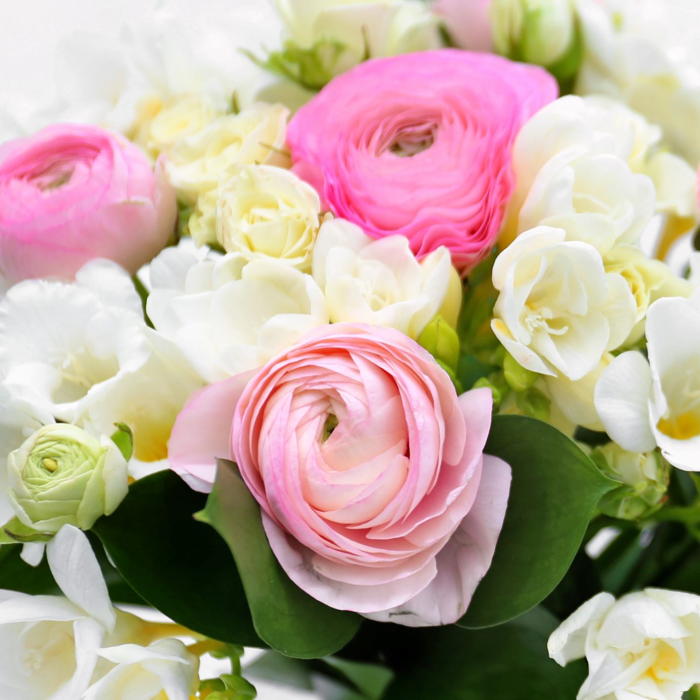 Freesia & Ranunculus - Pastel Blend