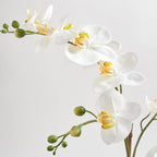 Artificial Orchid with Succulents