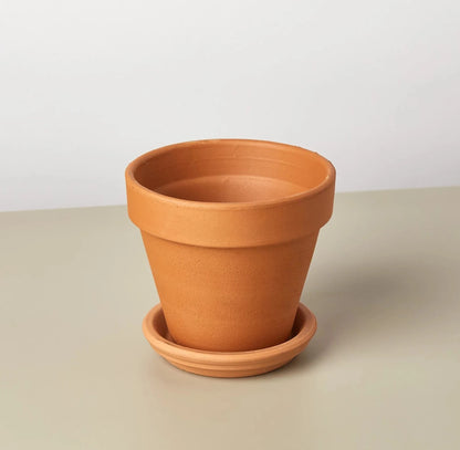 Terra Cotta Pot