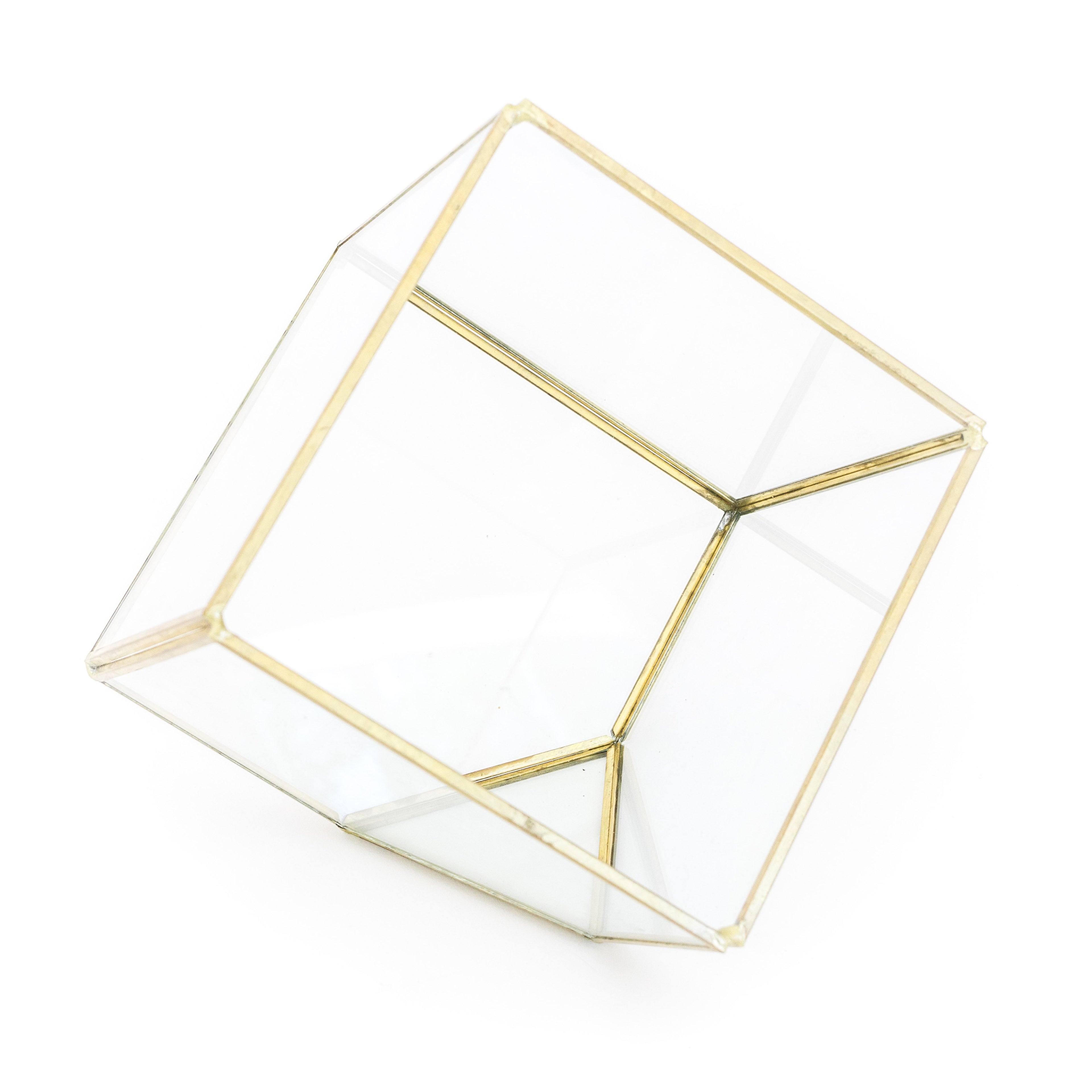 Heptahedron Geometric Glass Terrarium with Tillandsia Red Abdita and Ionantha Air Plants