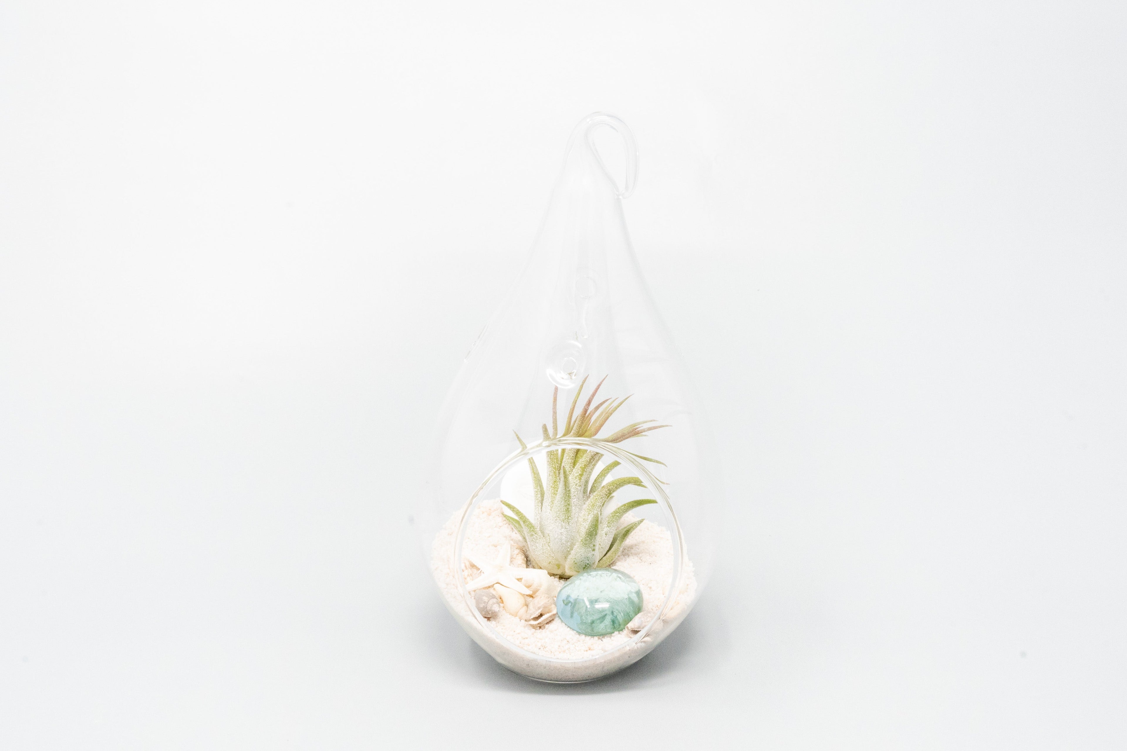 SALE - Set of 3 Teardrop Beach Terrariums with White Sand