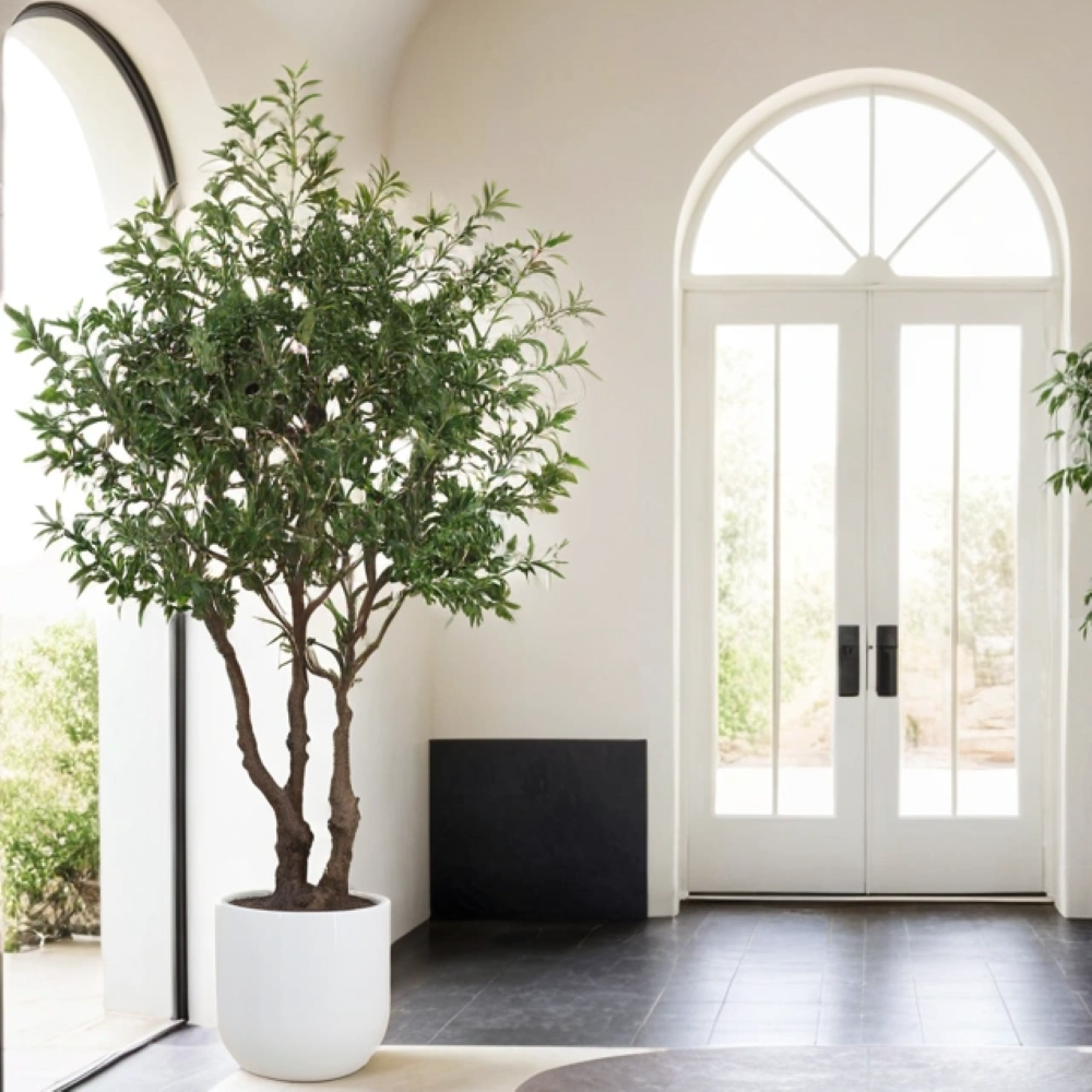 7.5' Faux Potted Olive Tree