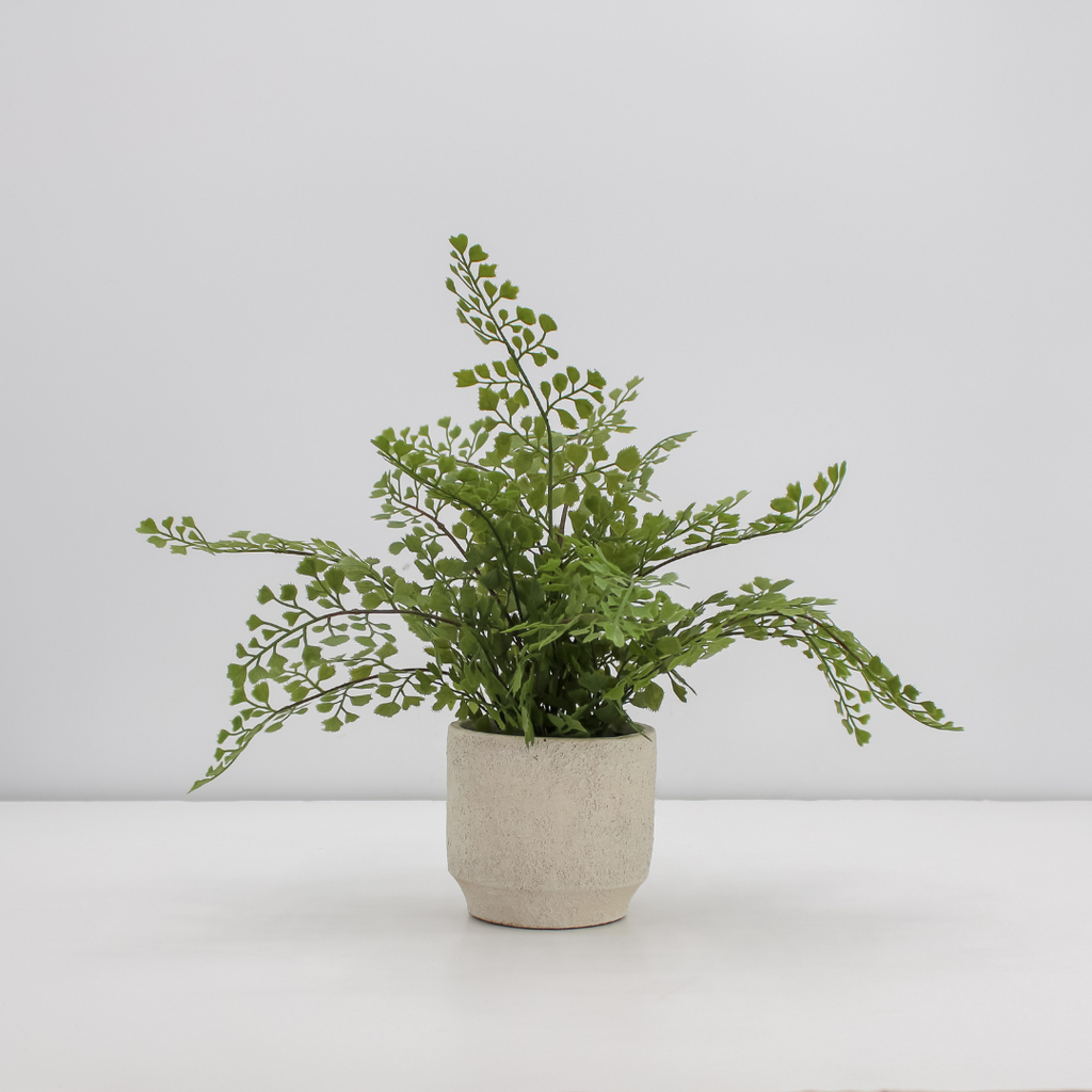 16" Faux Snake Plant & Fern Set