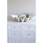 Magnesia Large Seashell Decorative Bowl