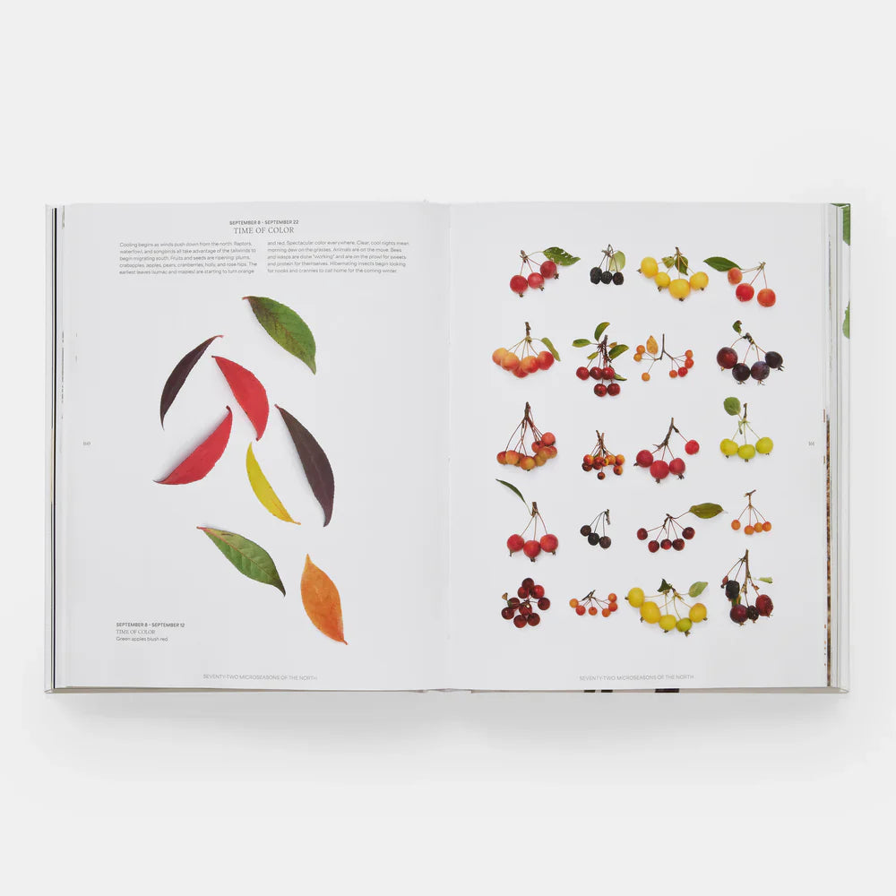 STILL: The Art of Noticing