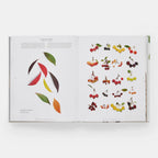 STILL: The Art of Noticing