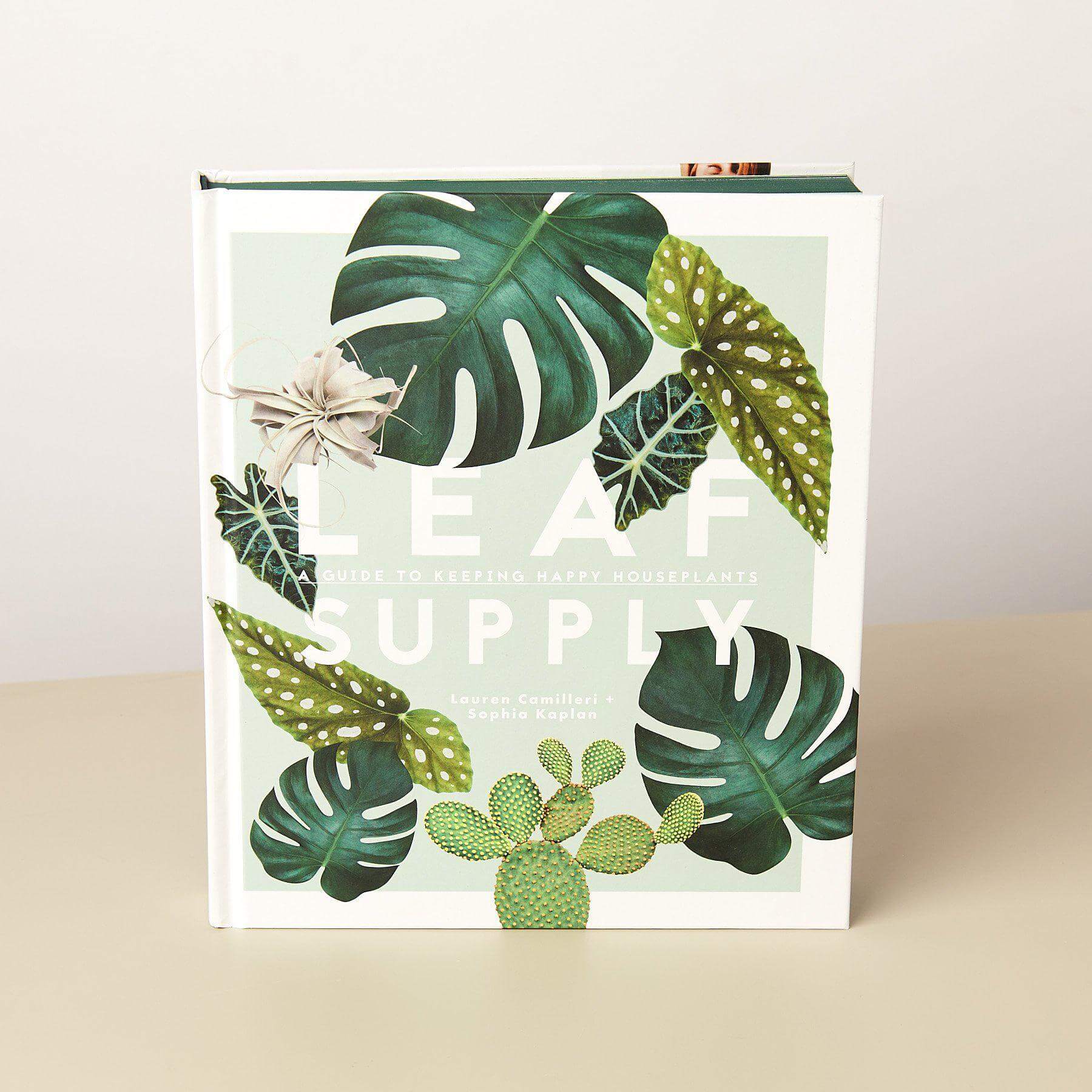 Leaf Supply | Modern house plants that clean the air