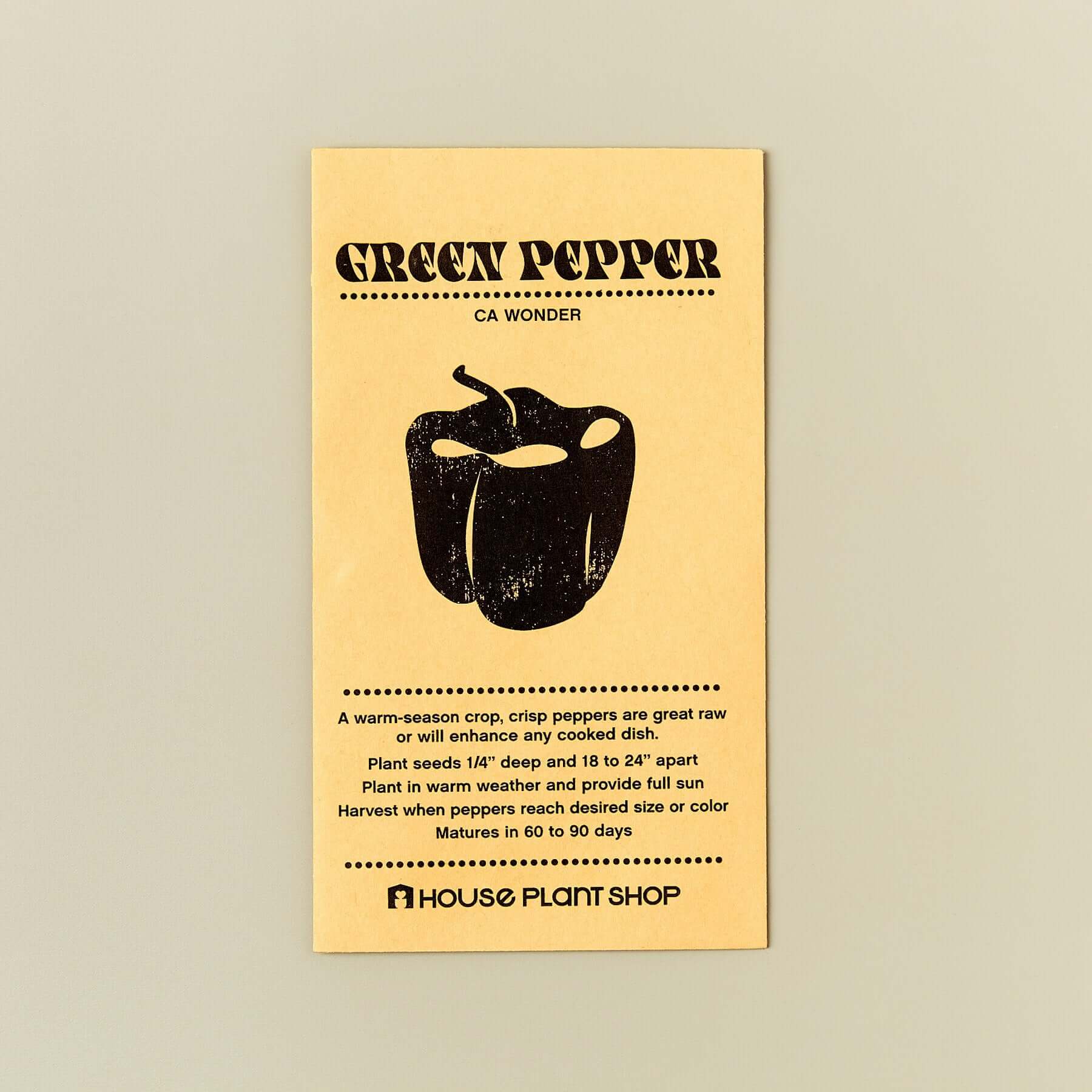 Heirloom Green Pepper - Sweet California Wonder | Modern house plants that clean the air