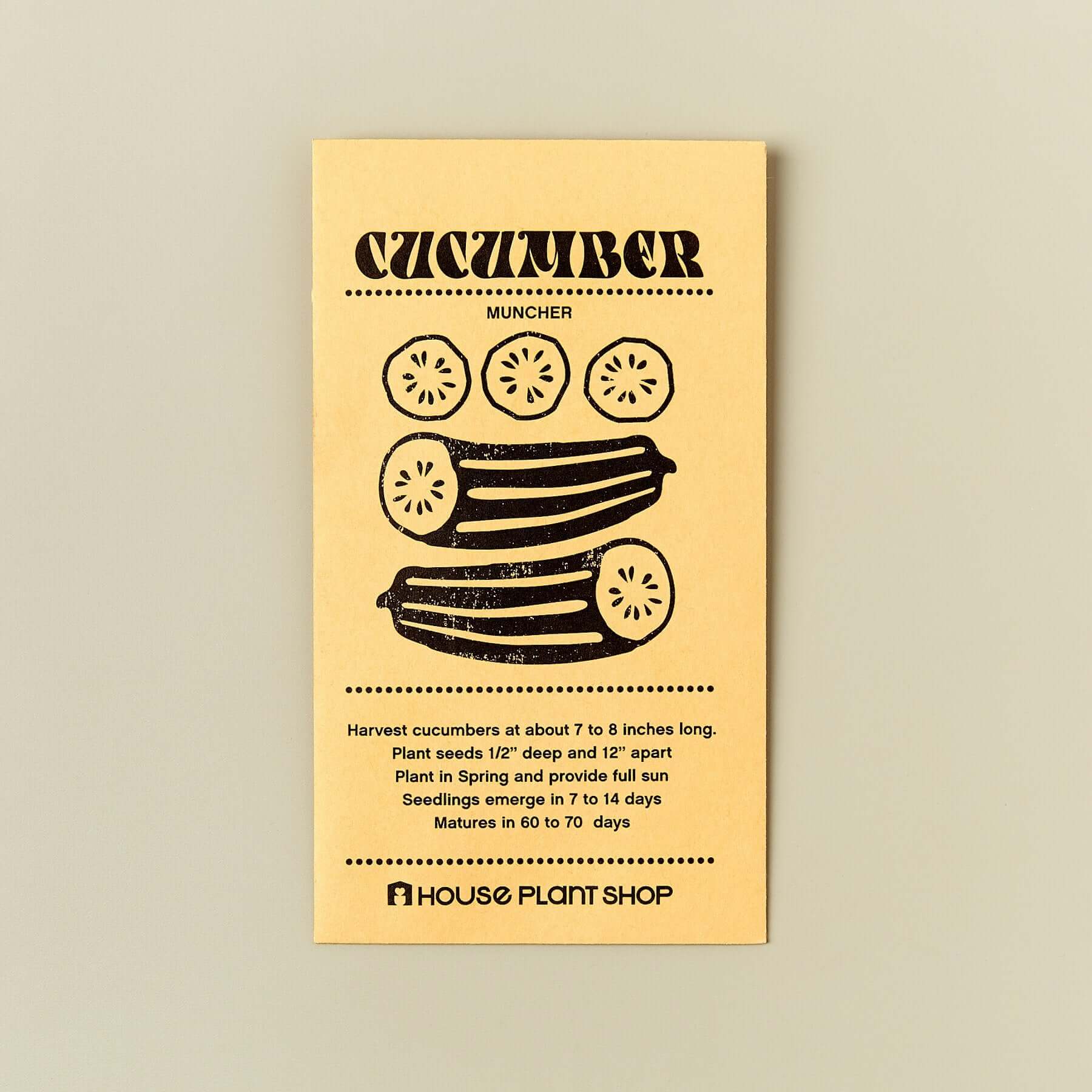 Heirloom Cucumber Seeds | Modern house plants that clean the air