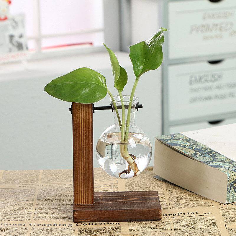Vintage Prop Vase | Modern house plants that clean the air