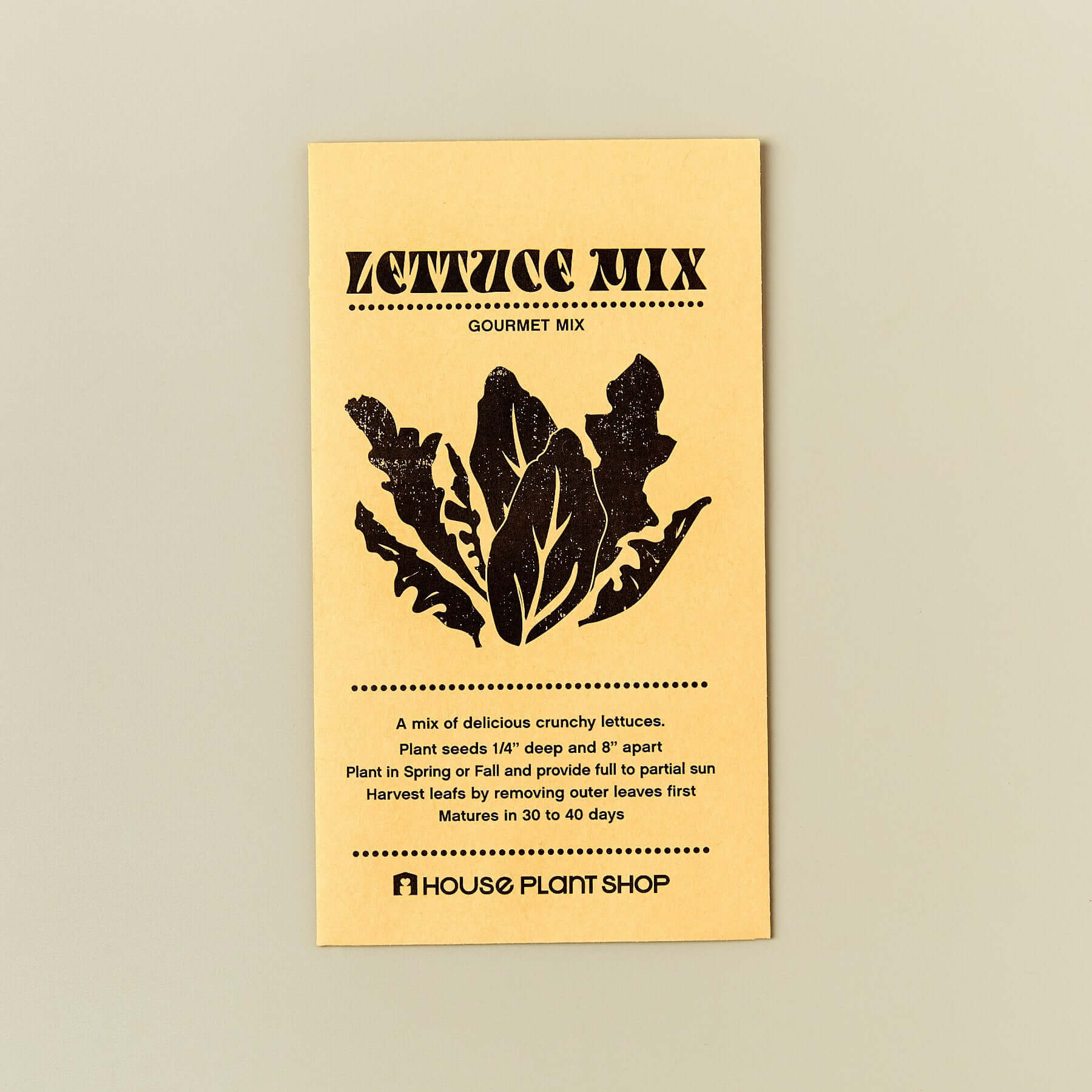 Heirloom 'Gourmet' Lettuce Mix Seeds | Modern house plants that clean the air