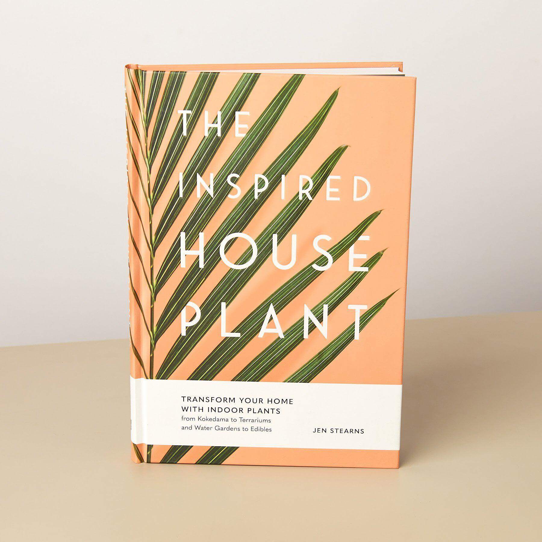 The Inspired House Plant | Modern house plants that clean the air