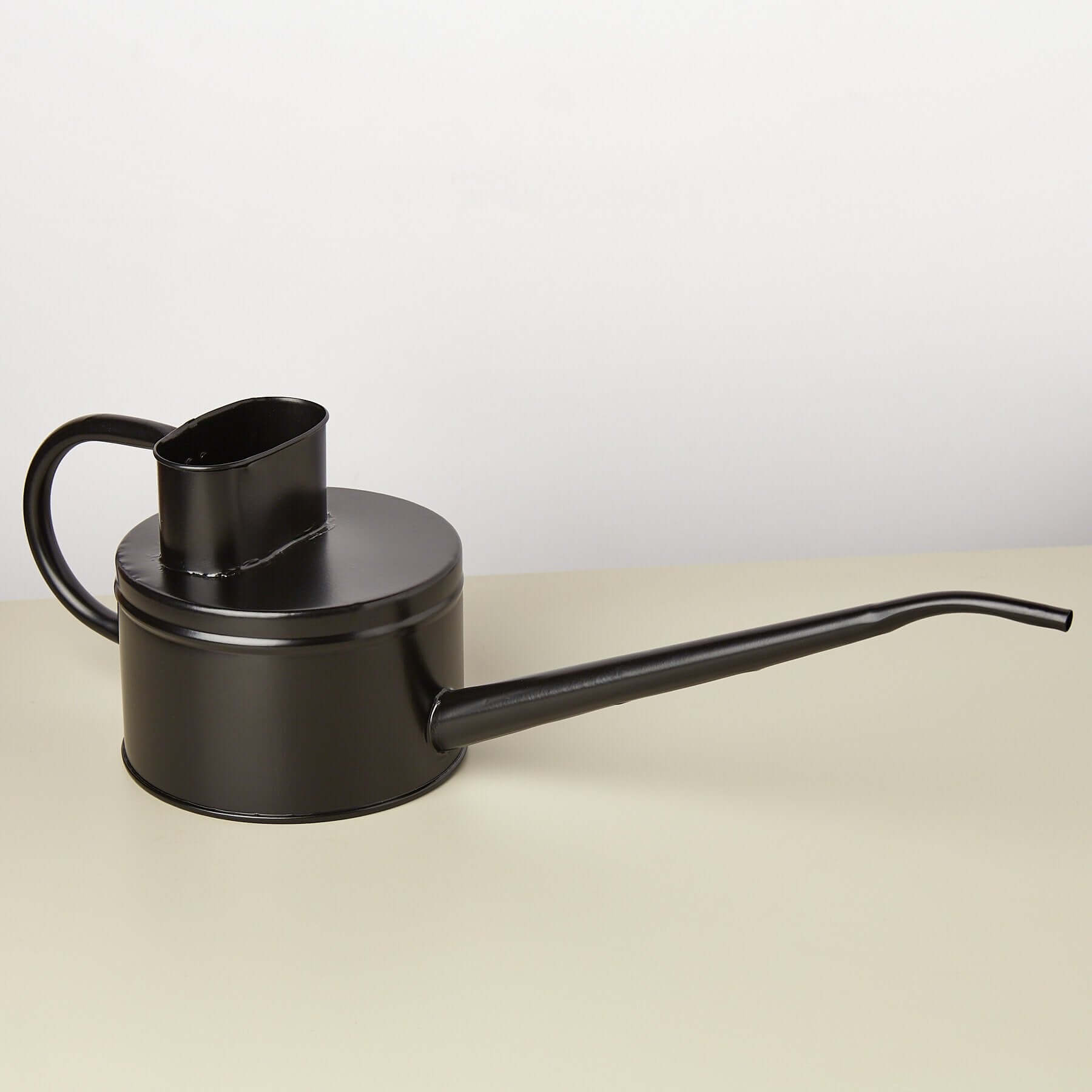 Elegant Steel Watering Can | Modern house plants that clean the air