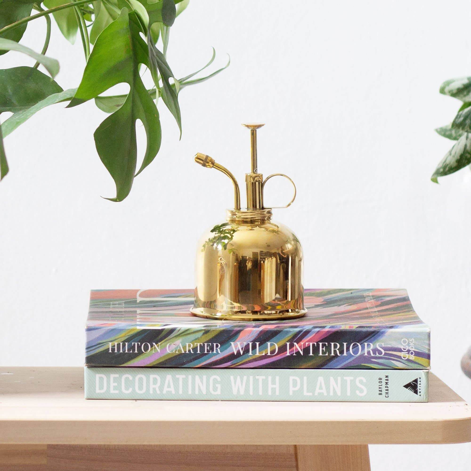 Brass Plant Mister | Modern house plants that clean the air